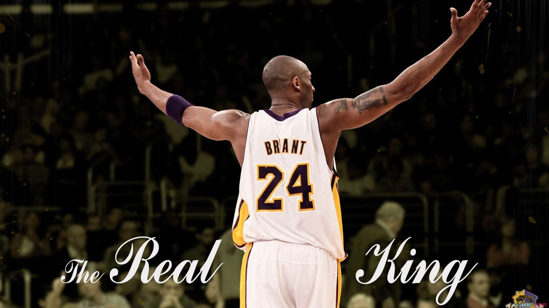 九游（jiuyou.com）游戏-【虚拟球迷】线上互动平台带来不同凡响的观赛体验，虚拟篮球直播