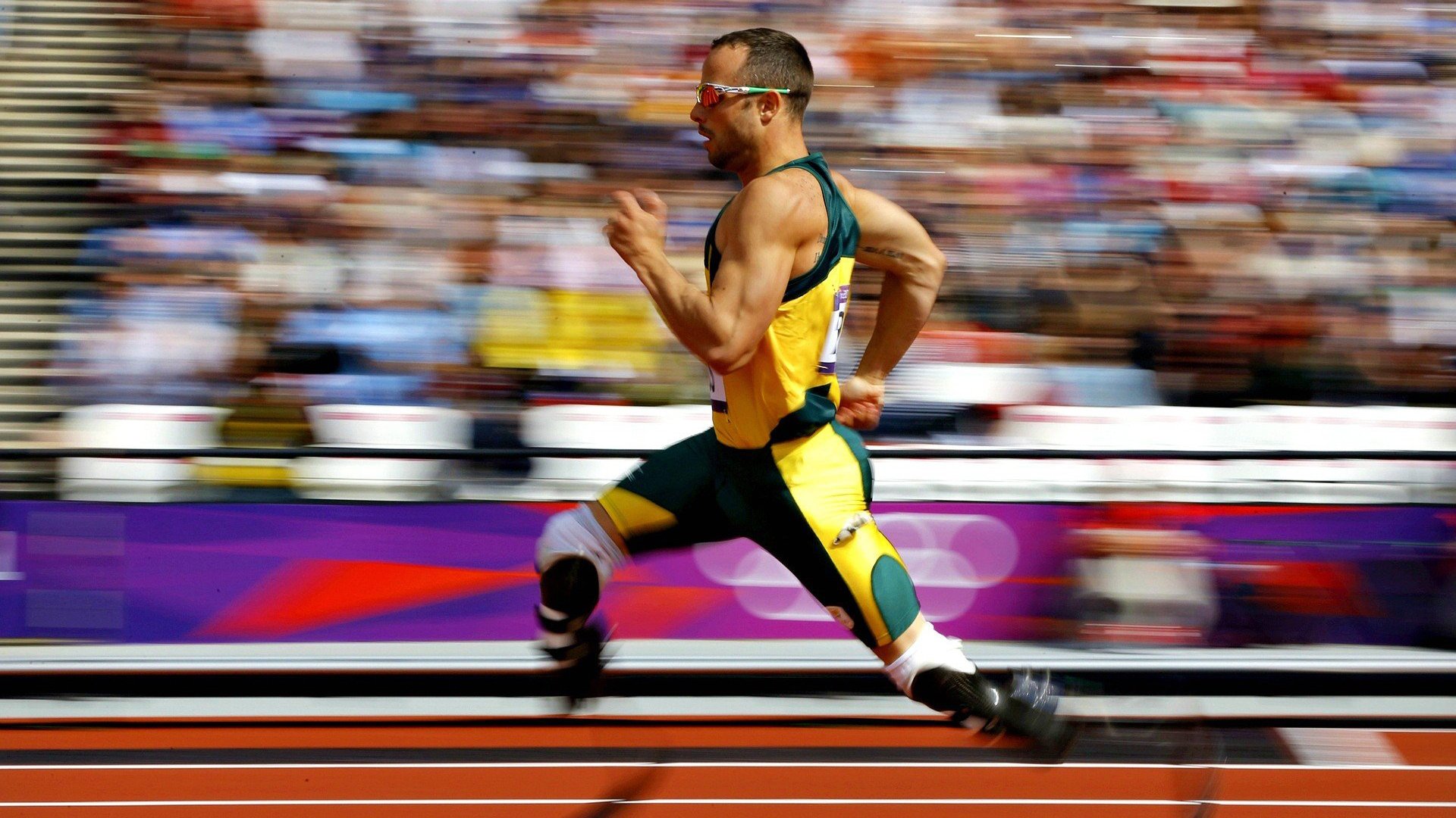 塞内加尔马术队在2024年非洲马术锦标赛中获得团体障碍赛金牌，时隔五年再获奖牌。